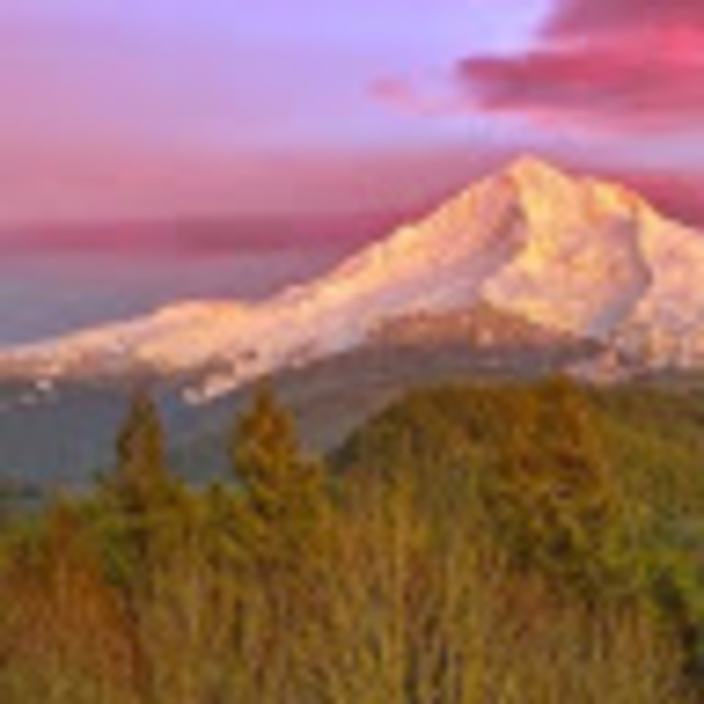 Meet your Posher, Talonna